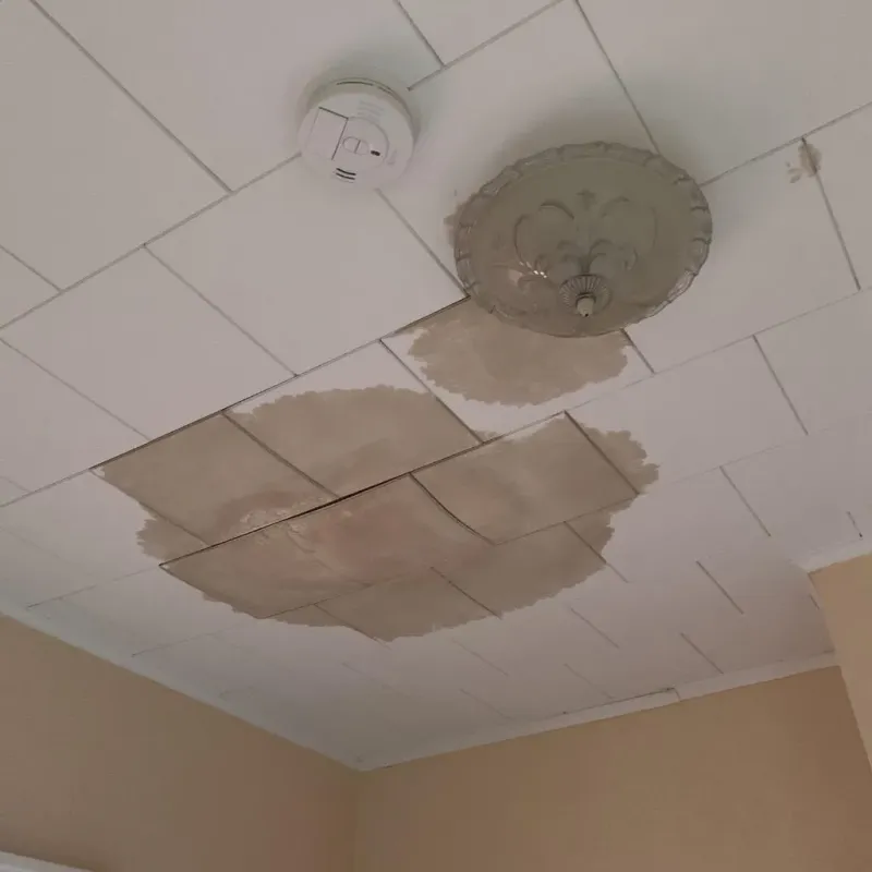 Ceiling Water Damage Repair in Seabrook Farms, NJ