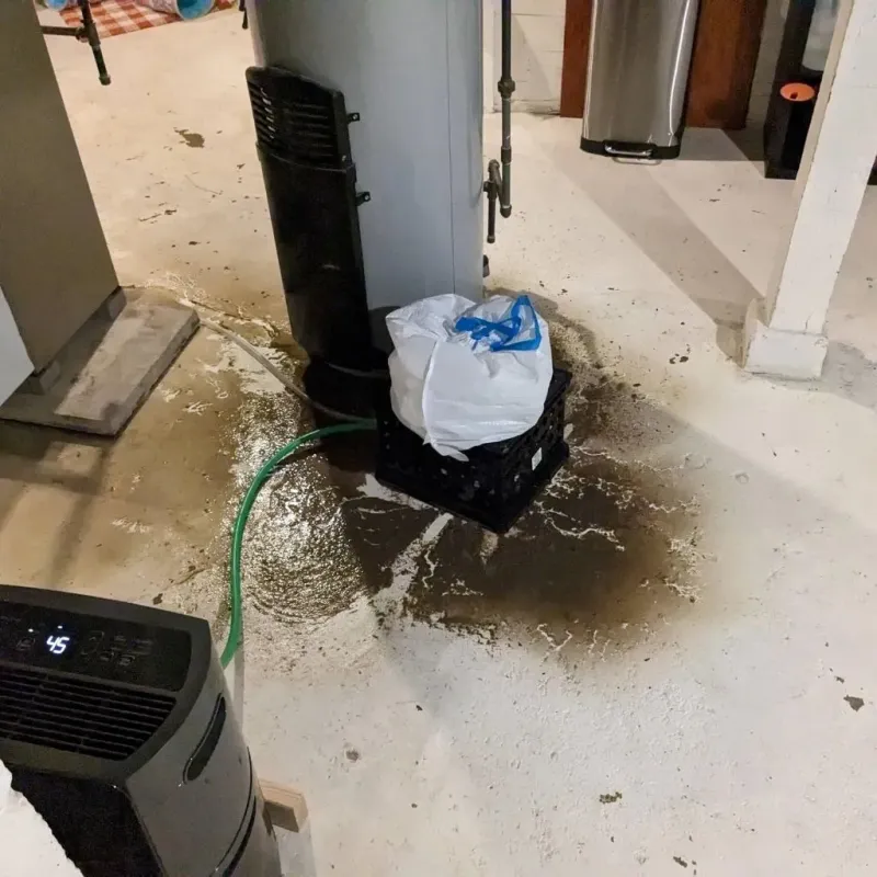 Sewage Backup Cleanup Service in Seabrook Farms, NJ